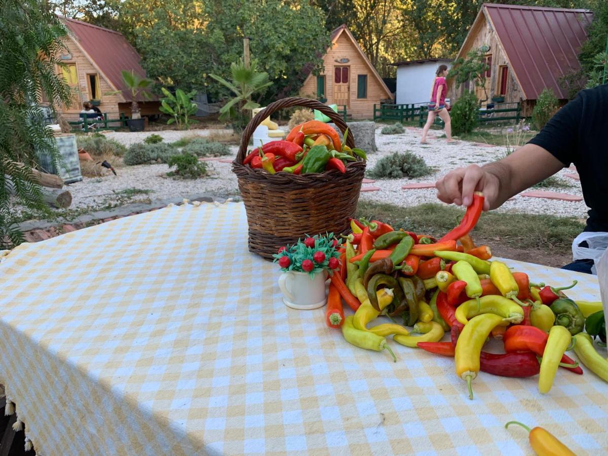 Pusula Bungalow Otel Kayakoy エクステリア 写真