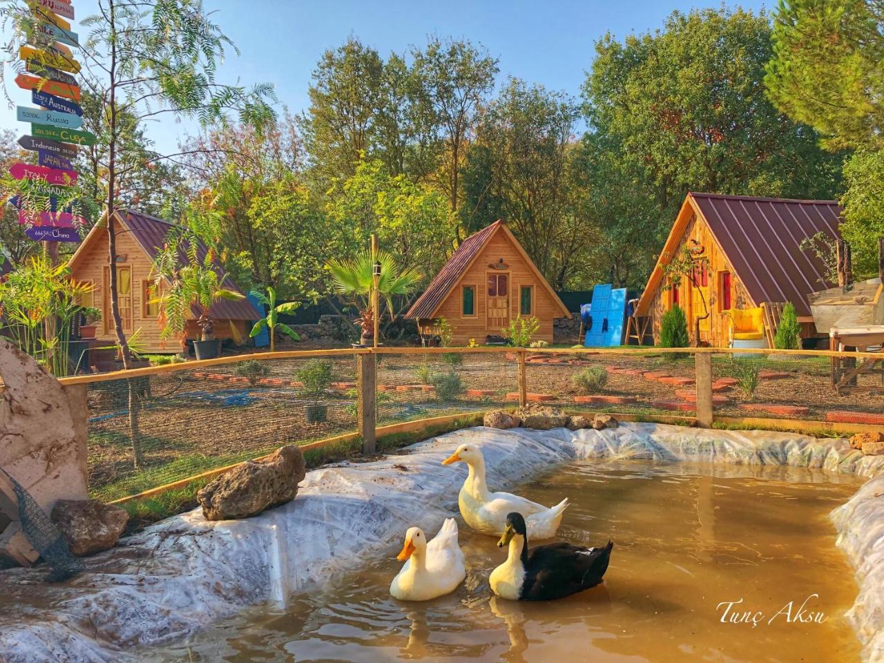 Pusula Bungalow Otel Kayakoy エクステリア 写真